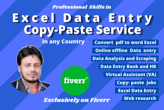 do perfect excel data entry, copy paste and web research