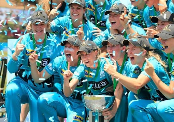 provide you high quality web articles for your cricket or sports website