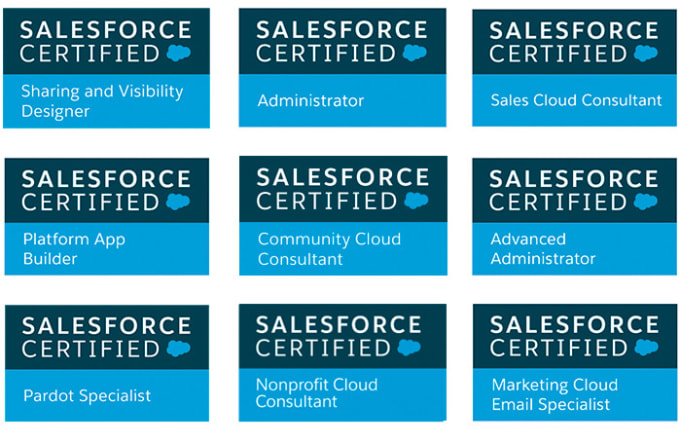 Sales-Cloud-Consultant Exam Score