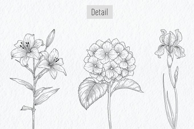 Beautiful Flowers Pencil Drawing · Creative Fabrica