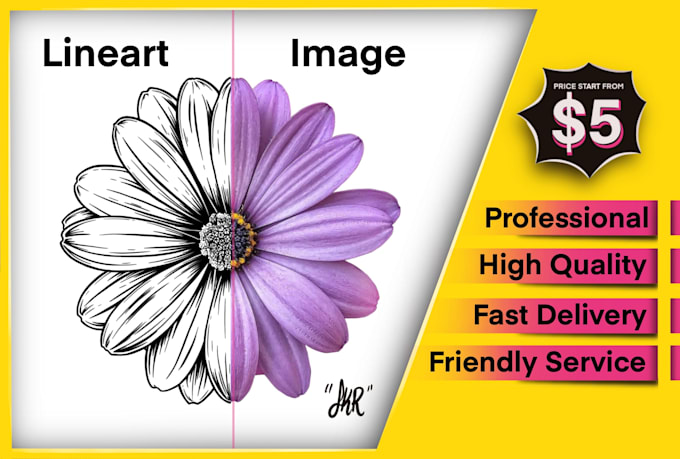 draw line art illustration from your image