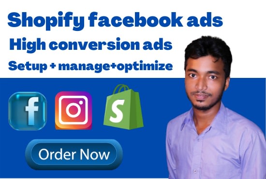 expert shopify facebook ads campaign, shopify online store