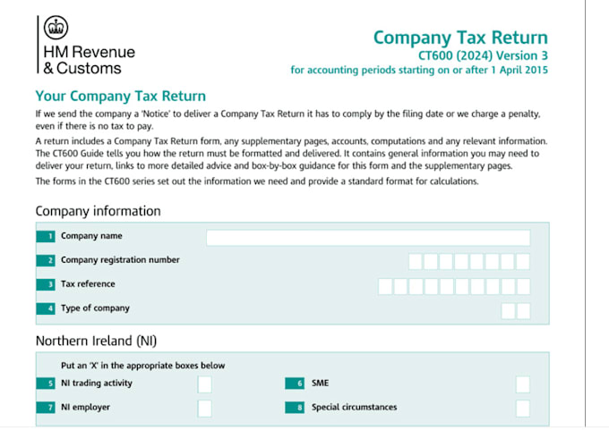 prepare UK statutory accounts and corporation tax return ct600