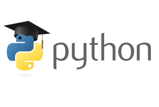 Teach you to become a coding ninja in python by Mitchellfaas | Fiverr