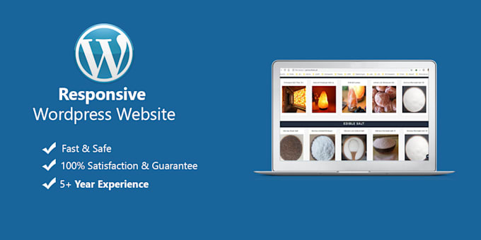 build ecommerce website design, professional online store, shopify and wordpress