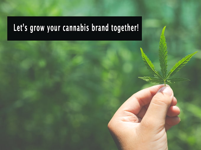 write a 1000 word article for your cannabis business