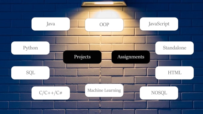 Do your programming assignments and projects by Pyrecyter | Fiverr