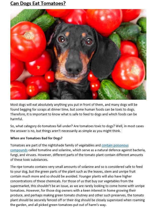 write high quality seo optimised veterinary related articles and blog posts