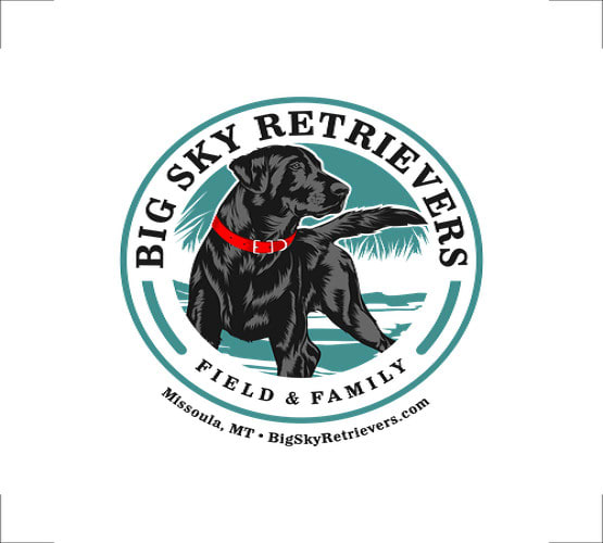 design big sky retrievers logo in 1 day