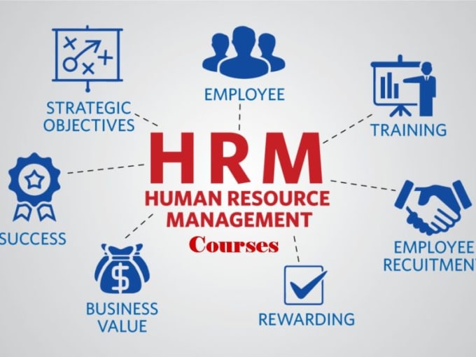 Hire a freelancer to provide my services related to human resource management