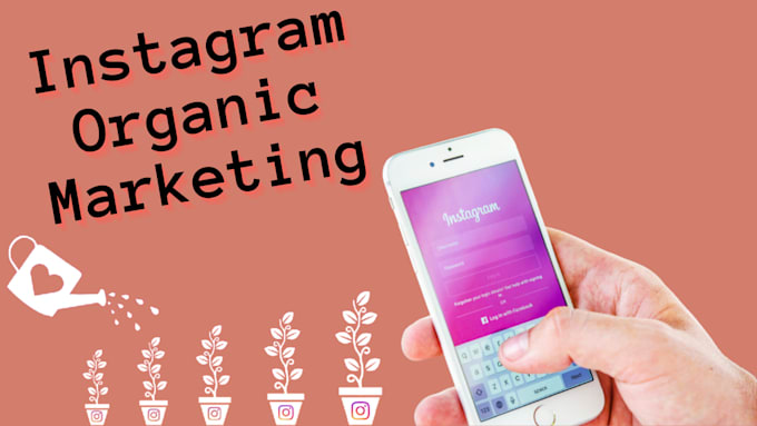 grow your instagram  organically