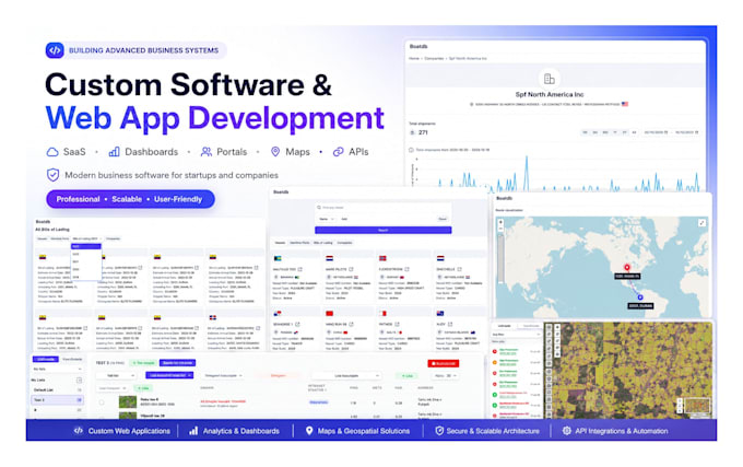 build professional website or web application for a business