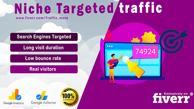send your website niche targeted organic visitors