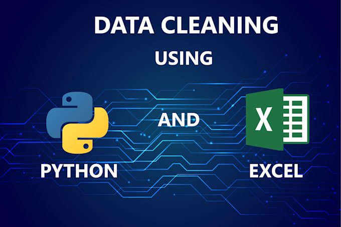 Clean and organise your data set using python or excel by Yanivbl | Fiverr