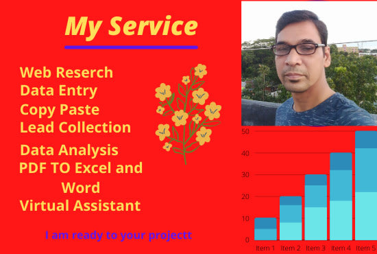 do data entry copy paste excel database management