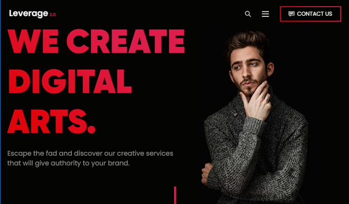 create a professional and responsive wordpress website