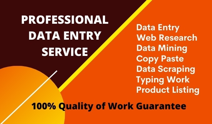 do perfect data entry, copy paste, typing, excel data entry
