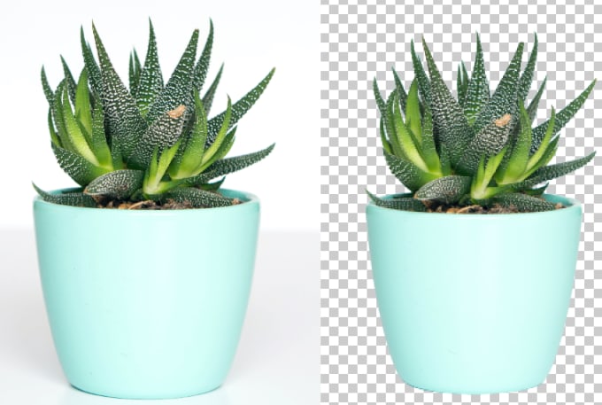 cut out images remove background professionally
