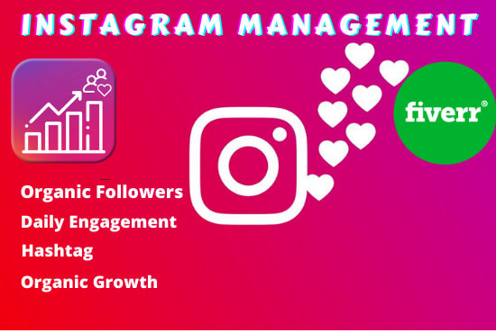 manage and promote your instagram for organic growth