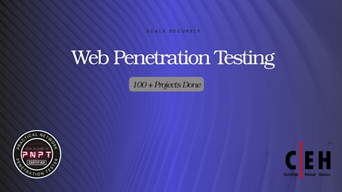 perform web application penetration testing with detailed report