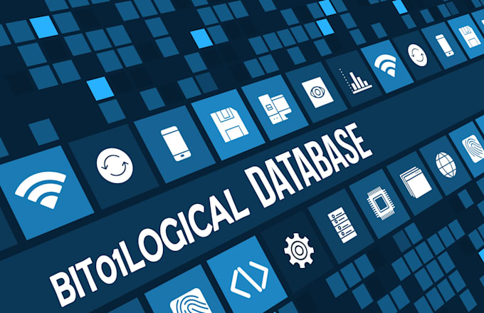 write sql queries and make databases