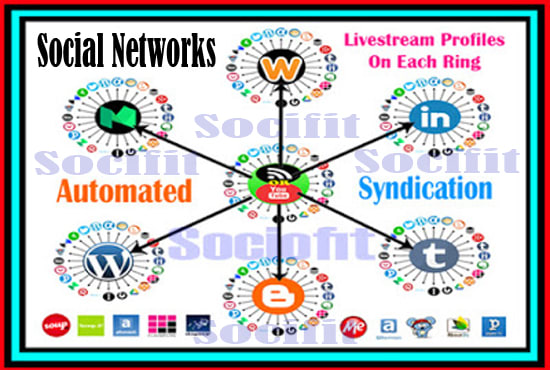 Hire a freelancer to setup automated tier syndication social  networks