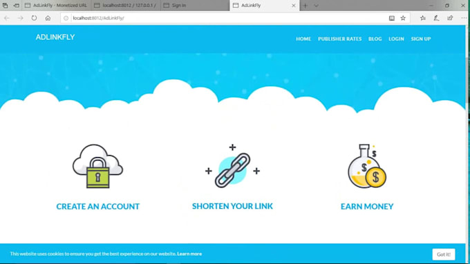 create URL shortener scripted website for you with admin panel