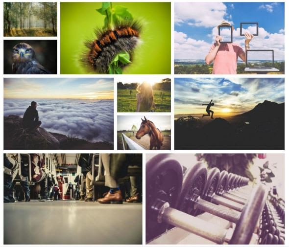 wordpress gallery plugin management