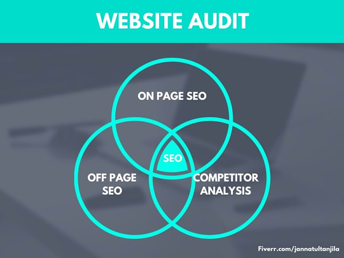 provide professional website audit report