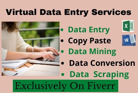 do data entry, data management and data collection