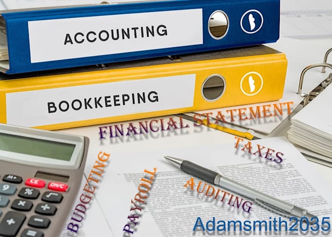 Provide accounting bookkeeping audit and taxes by Adamsmith2035 Fiverr