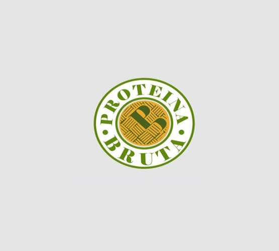 design proteinabruta logo in 1 day