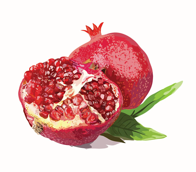 professional fruit and flower illustrations in vector format