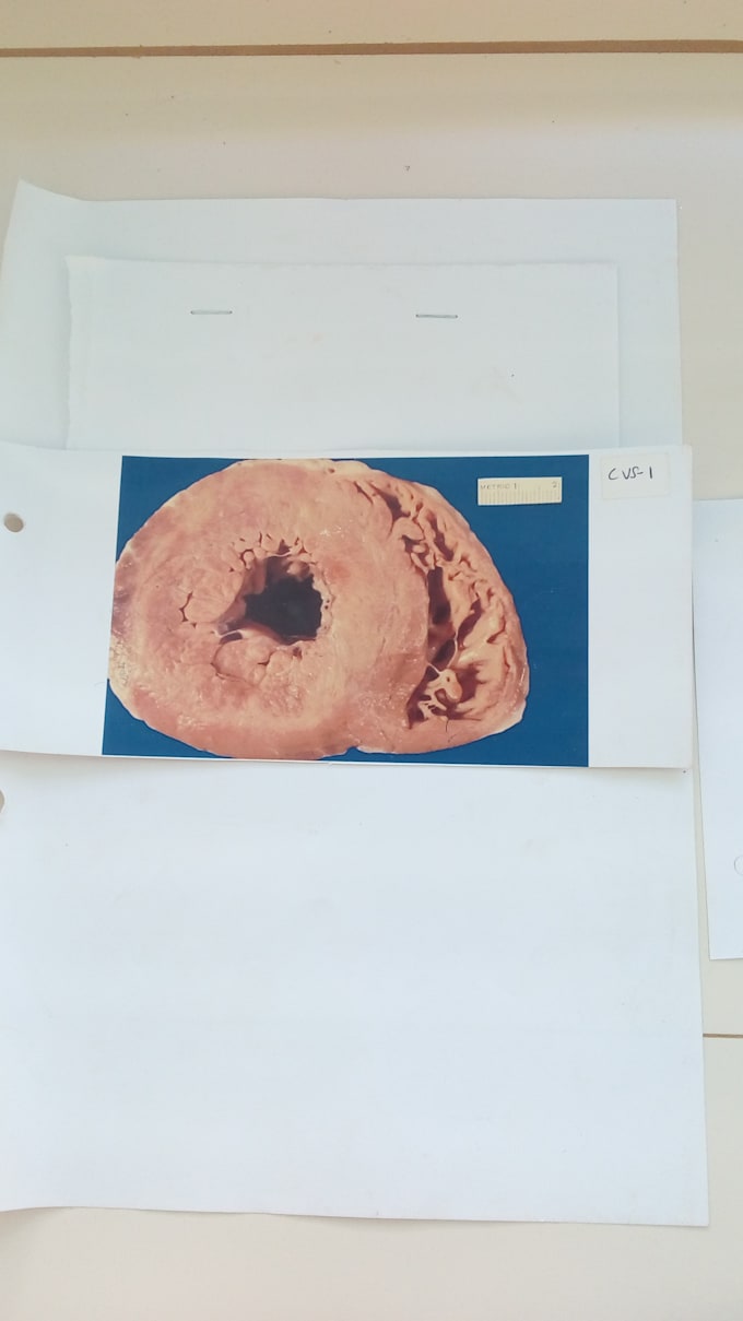 provide the best pathology papers
