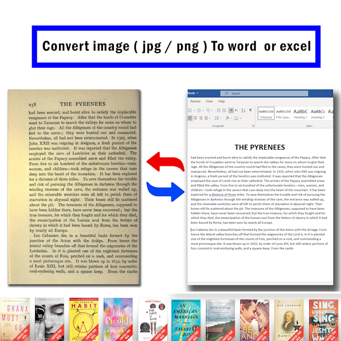 convert image or PDF file to text word or excel