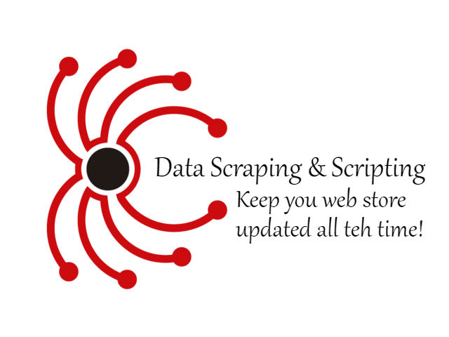 keep your wordpress and shopify store updated