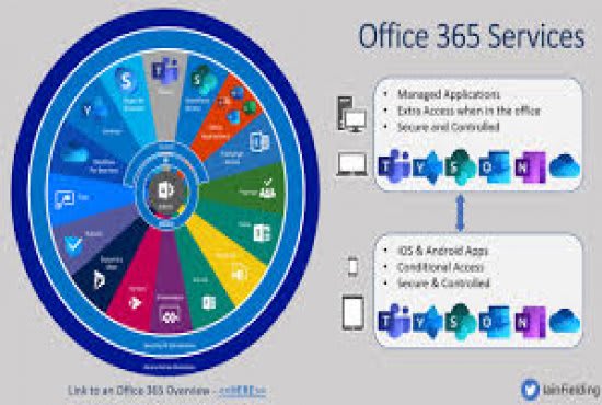 setup your office365 tenant