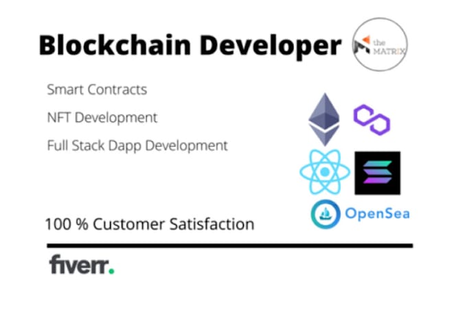 be your professional blockchain developer