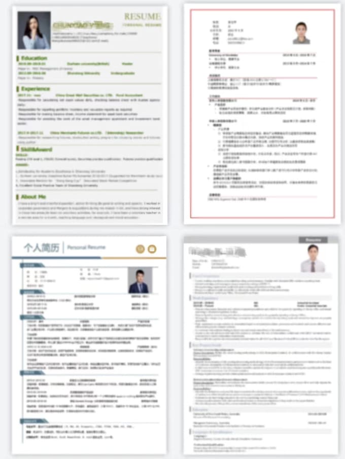 write or edit your CV in english and chinese