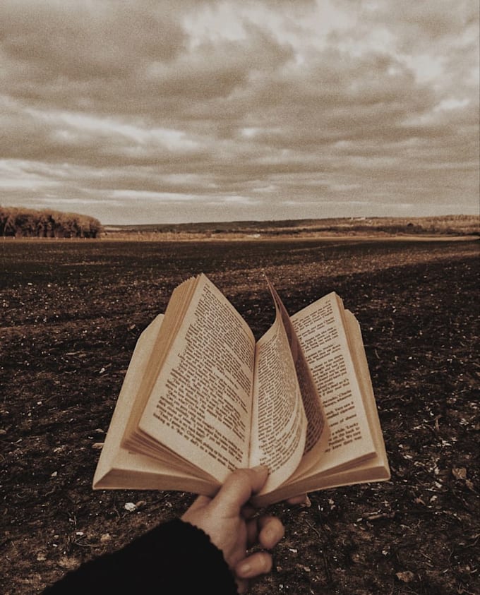 write an amazing fiction book in english or spanish for you