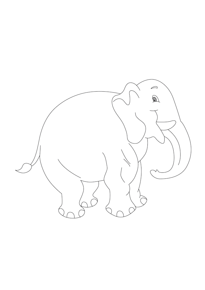 5 dollar tracing vector and raster