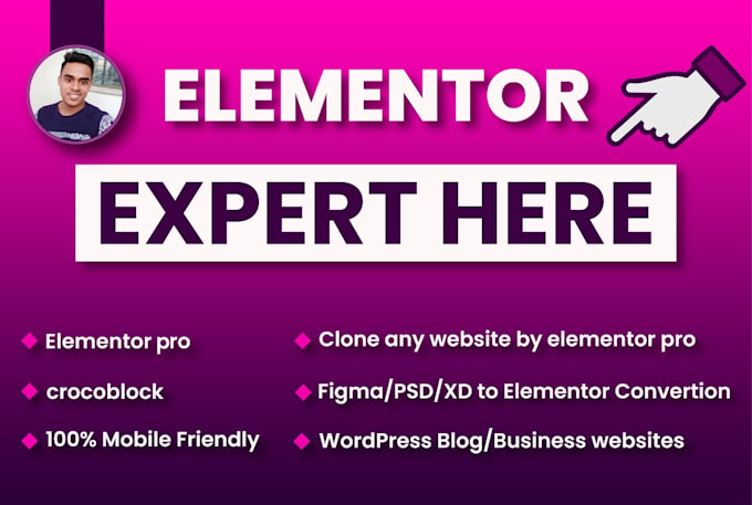 be an elementor expert on wordpress blogs or business websites