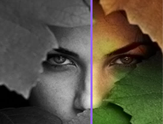 change black and white images into color