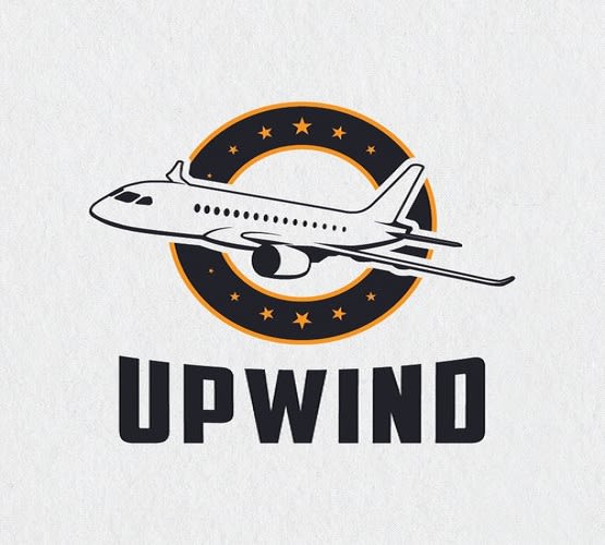 design flying logo in 1 day