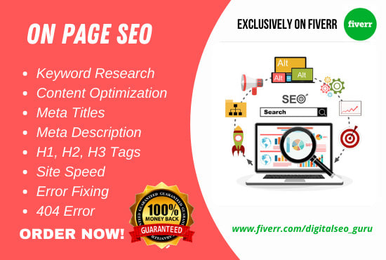 make complete on page website SEO for guaranteed ranking