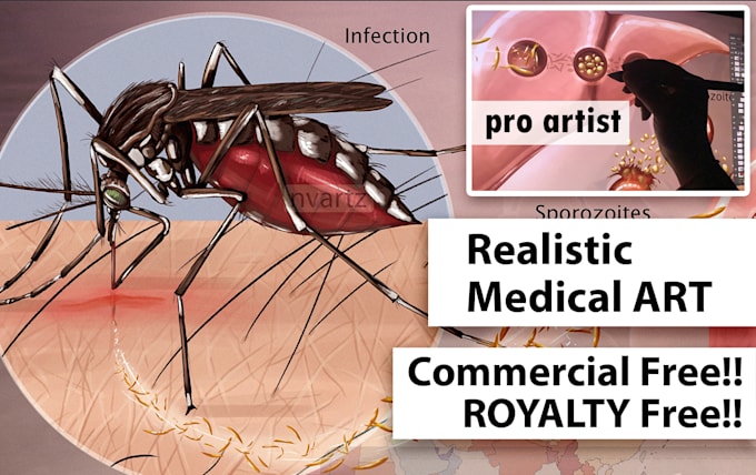 medical illustration pro level