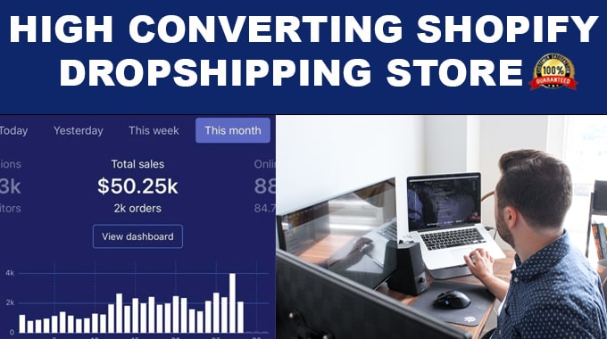build you a high converting shopify dropshipping store website