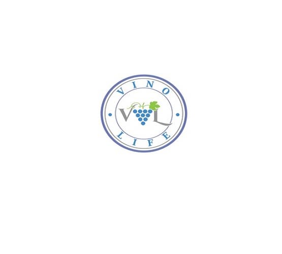 design wine accessory company logo in 1 day