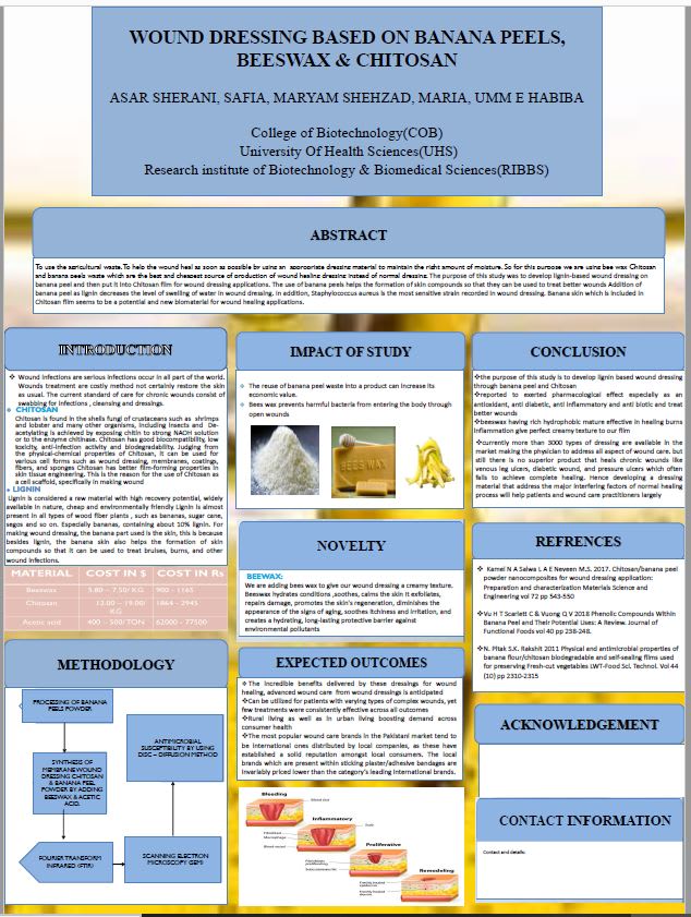 research academic scientific poster presentation