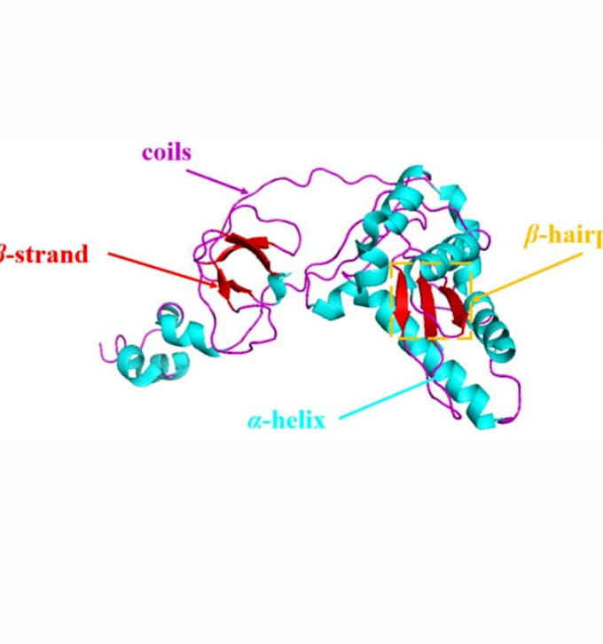 do bioinformatics sequence analysis in r and python